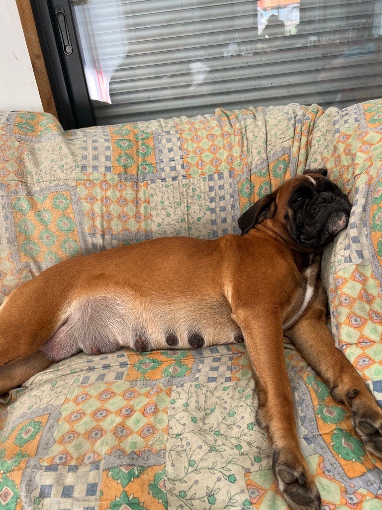 sieste